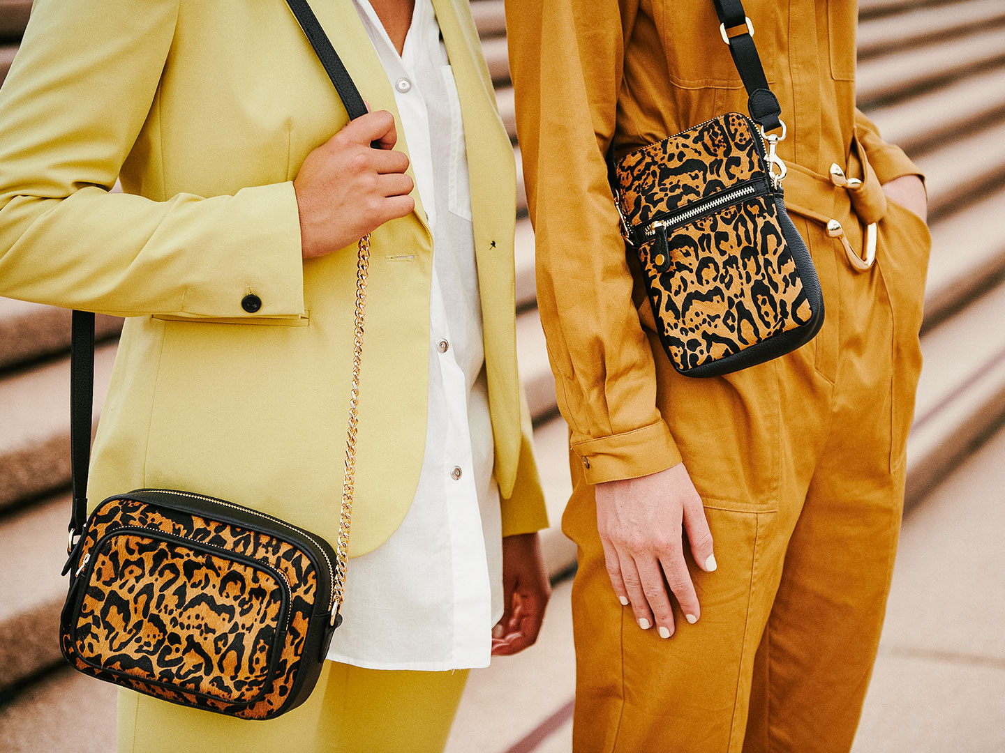 All About: Our Animal Print
